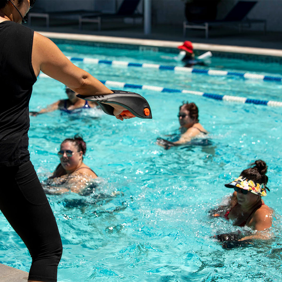 Women in water participating in aqua fitness